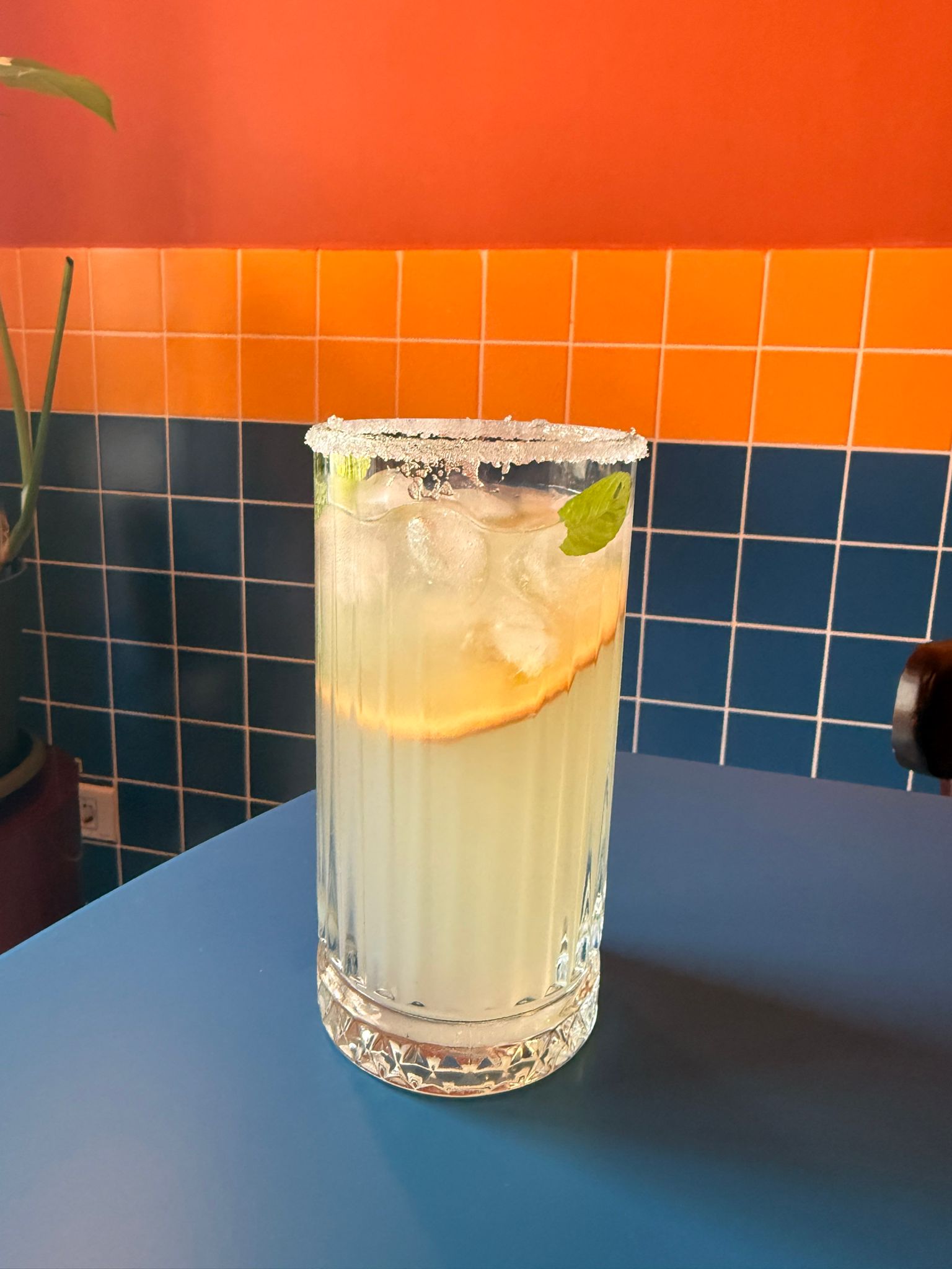 Lemon muse